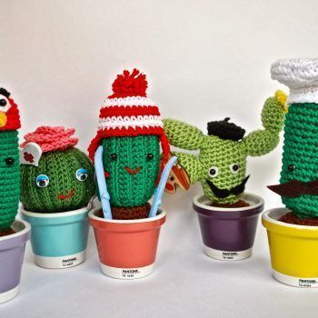 Amigurumi cactus